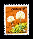A stamp printed in Australia shows an image of helichrysum thomsonii white flower on value at 18 cent.
